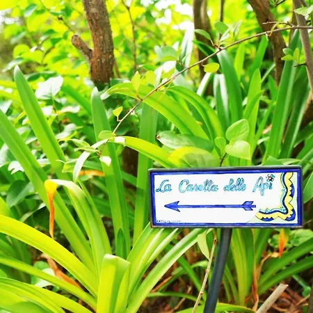 La Casetta Delle Api * 카프리